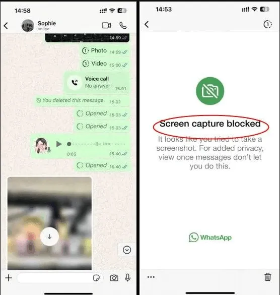 whatsapp-screenshot
