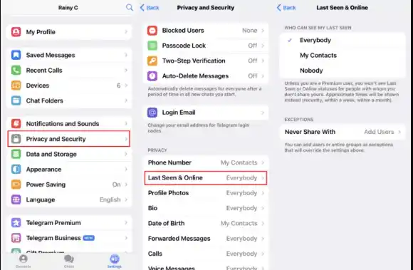 hide telegram last seen