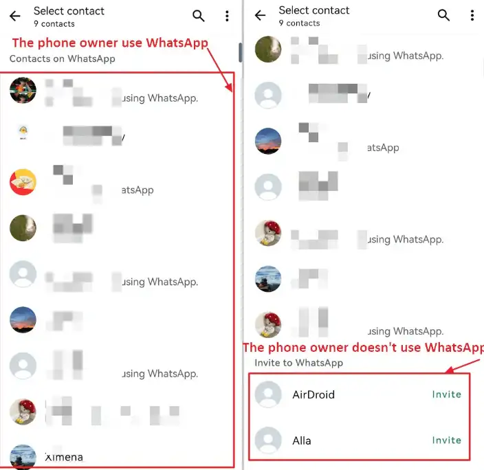 whatsapp contact