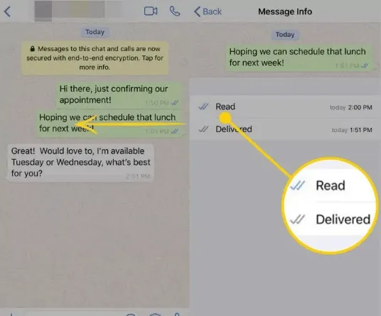 check whatsapp online