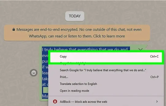 copy whatsapp messages web