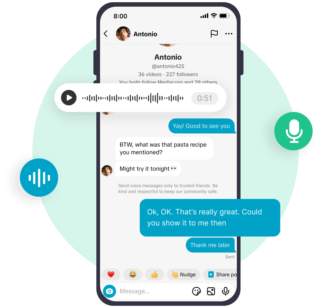 TikTok DM conversation with a captured voice message