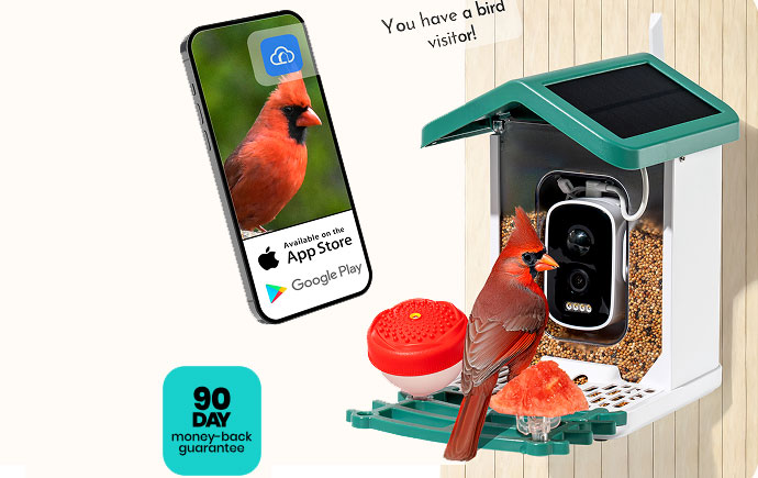Happy Bird - The Smart Bird Feeder
