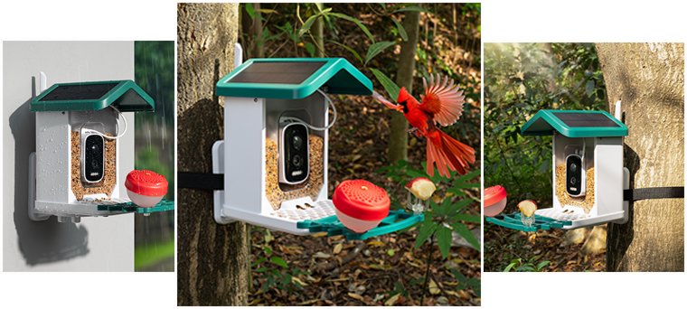 happy-bird-top-banners